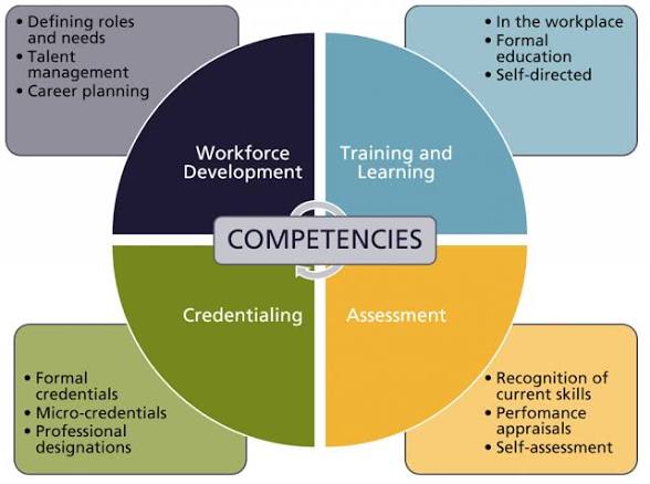 THPASA Qualifications and Competency Framework illustrating workforce development, training and learning, credentialing, and assessment as pillars of professional development in Traditional Health Practice.